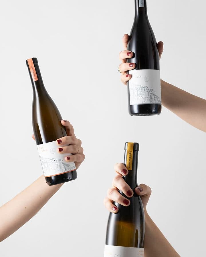 Drie handen houden elk een andere fles wijn omhoog